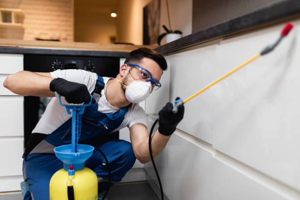 Best Termite Control Services  in Carencro, LA