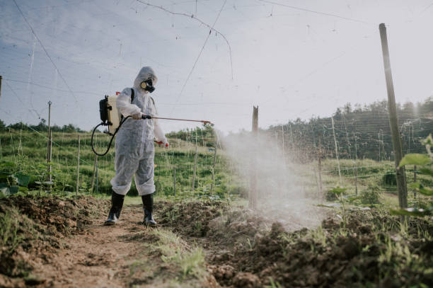 Best Mosquito Control Services  in Carencro, LA