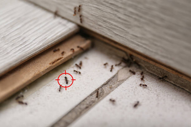 Carencro, LA Pest Control Company