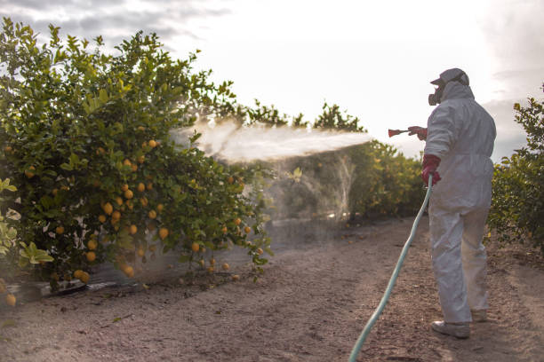 Best Wildlife Control Services  in Carencro, LA