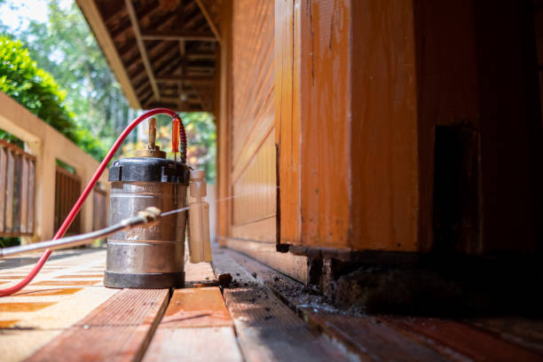 Best Pest Inspection Near Me  in Carencro, LA