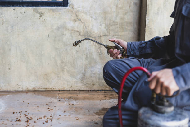 Best Flea Control Services  in Carencro, LA