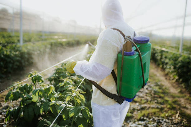 Best Residential Pest Control  in Carencro, LA